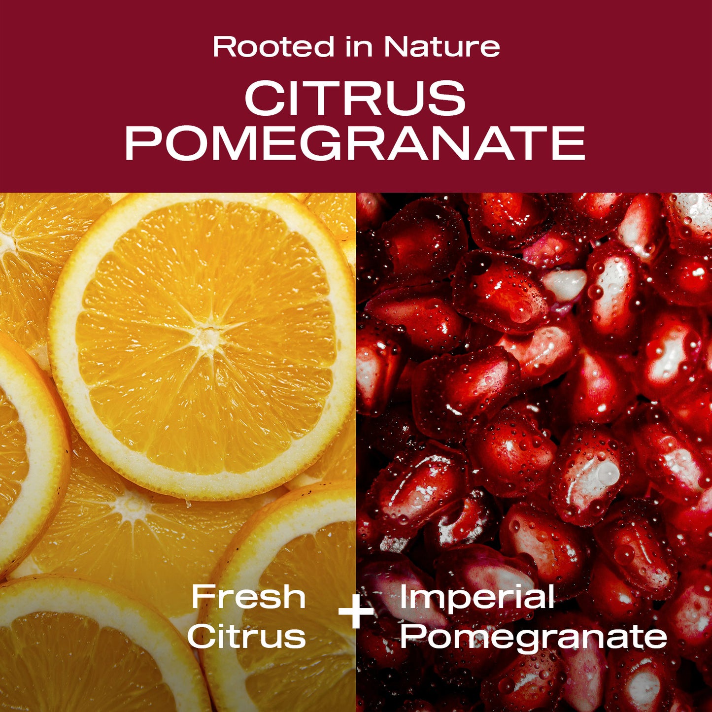 Citrus Pomegranate Deodorant