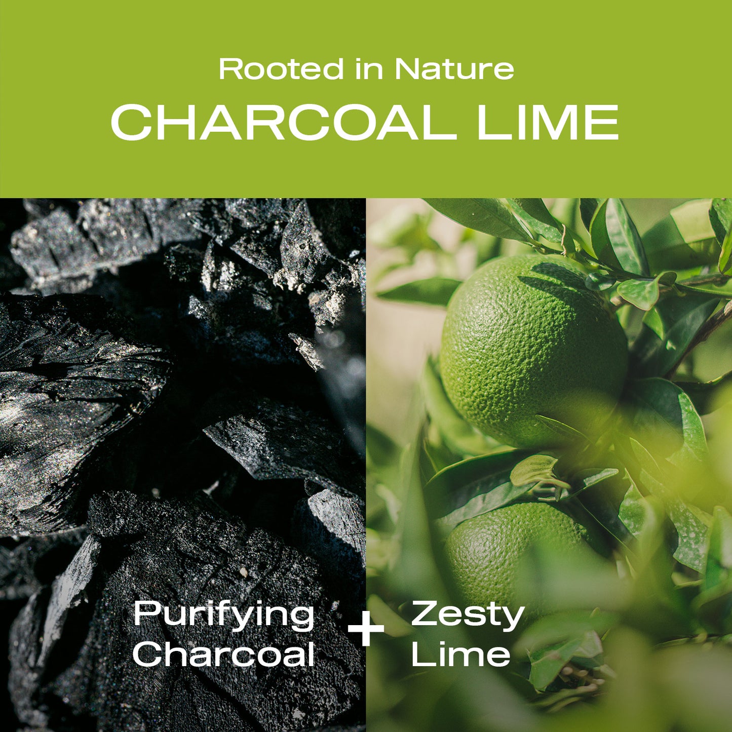 Charcoal Lime Deodorant