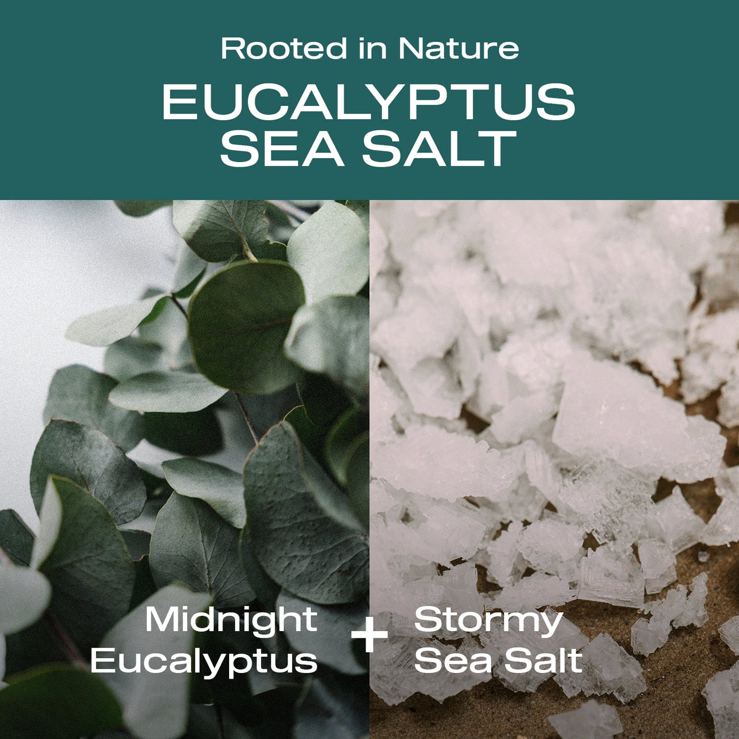 Eucalyptus Sea Salt Deodorant
