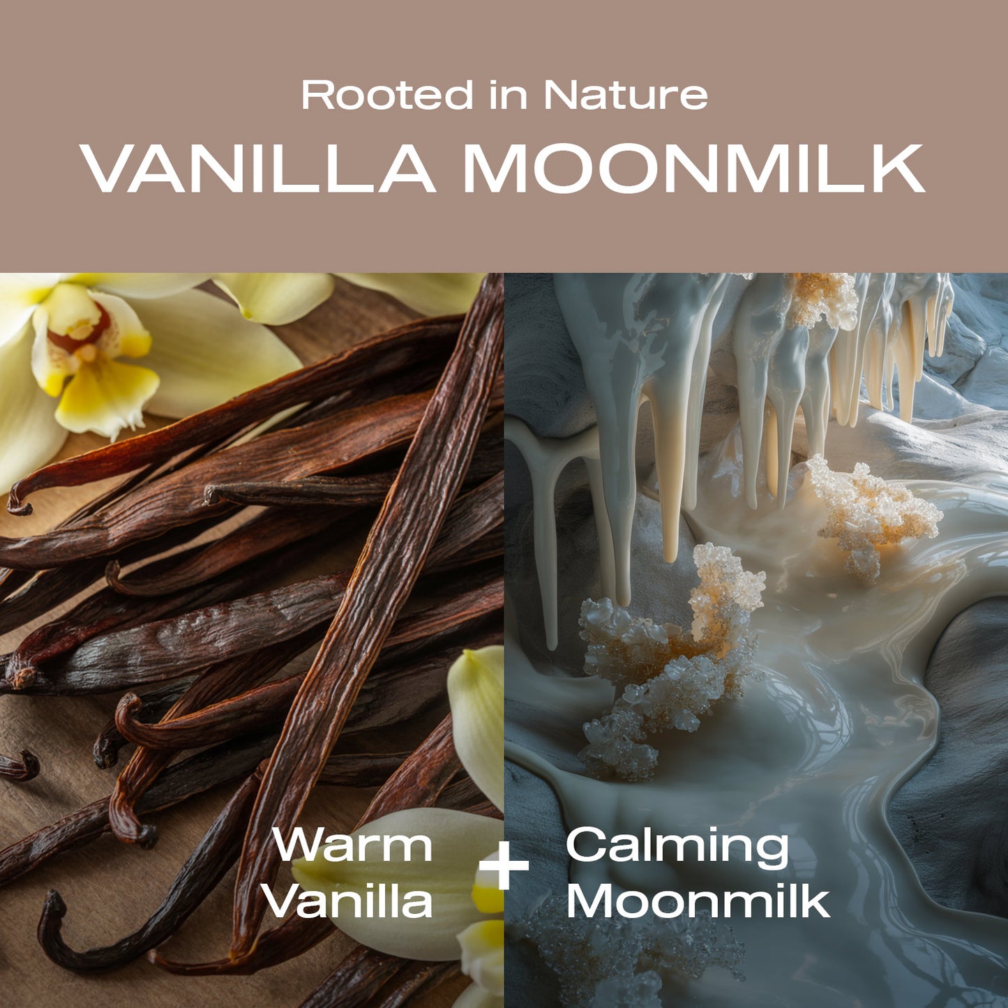 Vanilla Moonmilk Deodorant